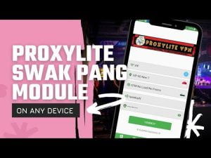 Read more about the article Proxylite Fast Connect – Swak Pang Module!
