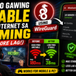 How to Make Your Internet More Stable for Gaming Using WireGuard